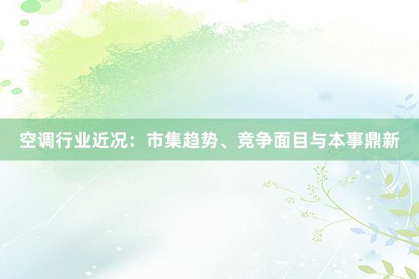 空调行业近况：市集趋势、竞争面目与本事鼎新